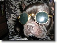 U� jsou zase v mod� lenonky!!!