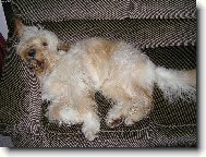 . . . pohoda, kl�dek a leh�ro. . .