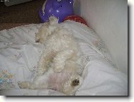 takhle mi spink�me