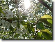 pl�n� t�e�e�