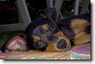 stra�n� unaven� S�ra