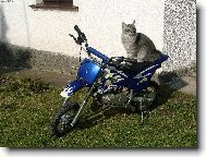 motork��ka