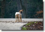 Pa, odch�z�m ...