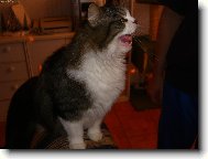 H� h� h� h� .. .. ..