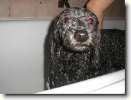 N�kdo se tu hrozn� r�d koupe