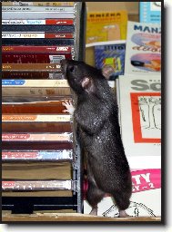 M�te "O my��ch a lidech"?