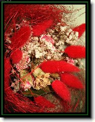 nesmrteln� kr�sa