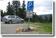 Reserv� pro ka�d�ho!