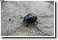 takov� kr�sn� brou�ek...