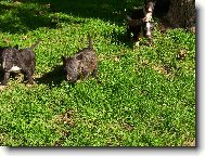 Prvn� v�let do p��rody