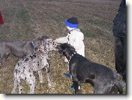 Na v�echny se dostane