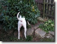 na�li nebo nena�li