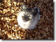 Odkud to sem pad�?