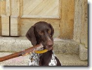 ! Klacek nikdy nepust�m !