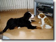 Z o�� do o��...