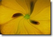 barevn� abstrakce II