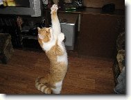 Dej sem tu my�ku, u� m�m nachystan� pa��tky!