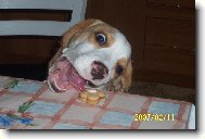 A stejn� t� sn�m!