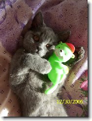 Bob��ky j� r�d