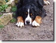 Bez koment��e....