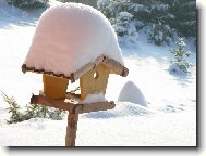 Ulet�l\.\.pt��ek