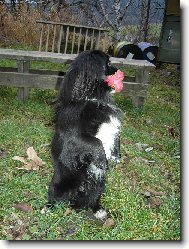 vym�n�m aportek za mas��ko\.\.\. zn\.nejvy��� nab�dka