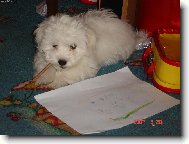 Jak to s tou tu�kou d�laj�,�e jim to p�e\?