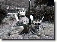 Hl�da�ka polab�