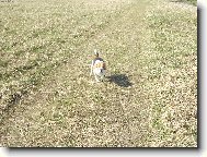 Nov� st�ha�ka.