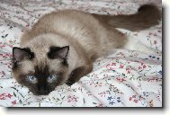 Vypad�m jako my�!!