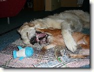 ...j� m�m v�t�� zuby...