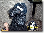 To je n� fe��k...