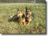 Asta s Charliem (m�ma a syn-13 a 9 let)