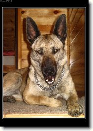 Koukej na m� zoubky :)