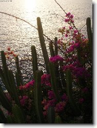 V z��i zapadaj�c�ho slunce