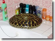 Tak tohle se jen tak nevid�!