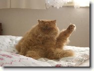 Odpoledn� gymnastika