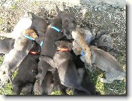 m�ma nen� skoro vid�t,kdy� se do n� pust�me..11n�s je