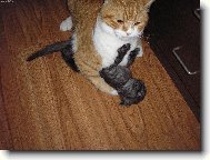 tak se m�me r�di:)))