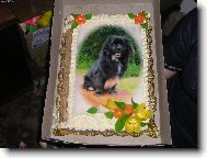 no nejsem k nakousnut�?