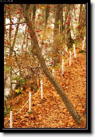 ... z jedn� podzimn� proch�zky ...