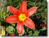 Jaro ve sv� kr�se...