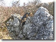 Tr�nink na M. Everest