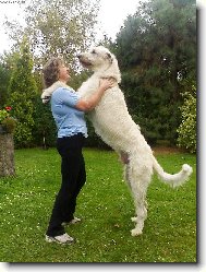 Giro a m�ma