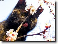 po�k�m si tu na meru�ky...