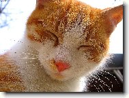 u�in�n� and�lek!