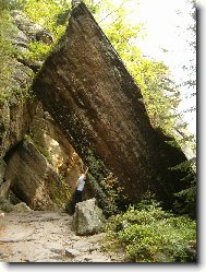 Adr�pach..Krakono�ova harfa