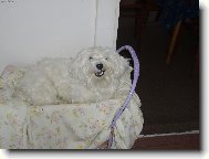 H���� j� m�m ko��rek