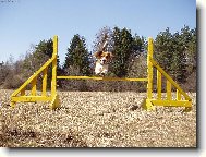 J� let���m !!!