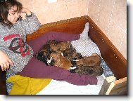 K�ja a 8 boxe��k�